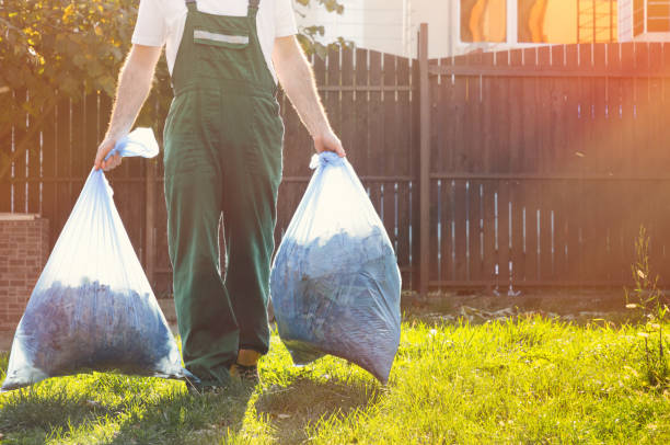 Best Electronics Removal Services  in Loving, NM